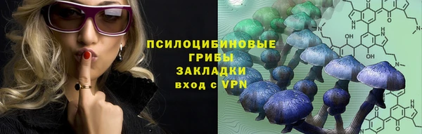 кокс Вяземский