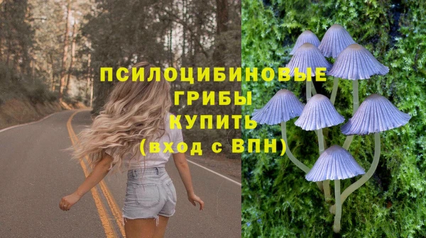 гидра Волоколамск