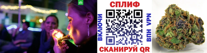 Бошки Шишки ГИДРОПОН  цены   Карачаевск 